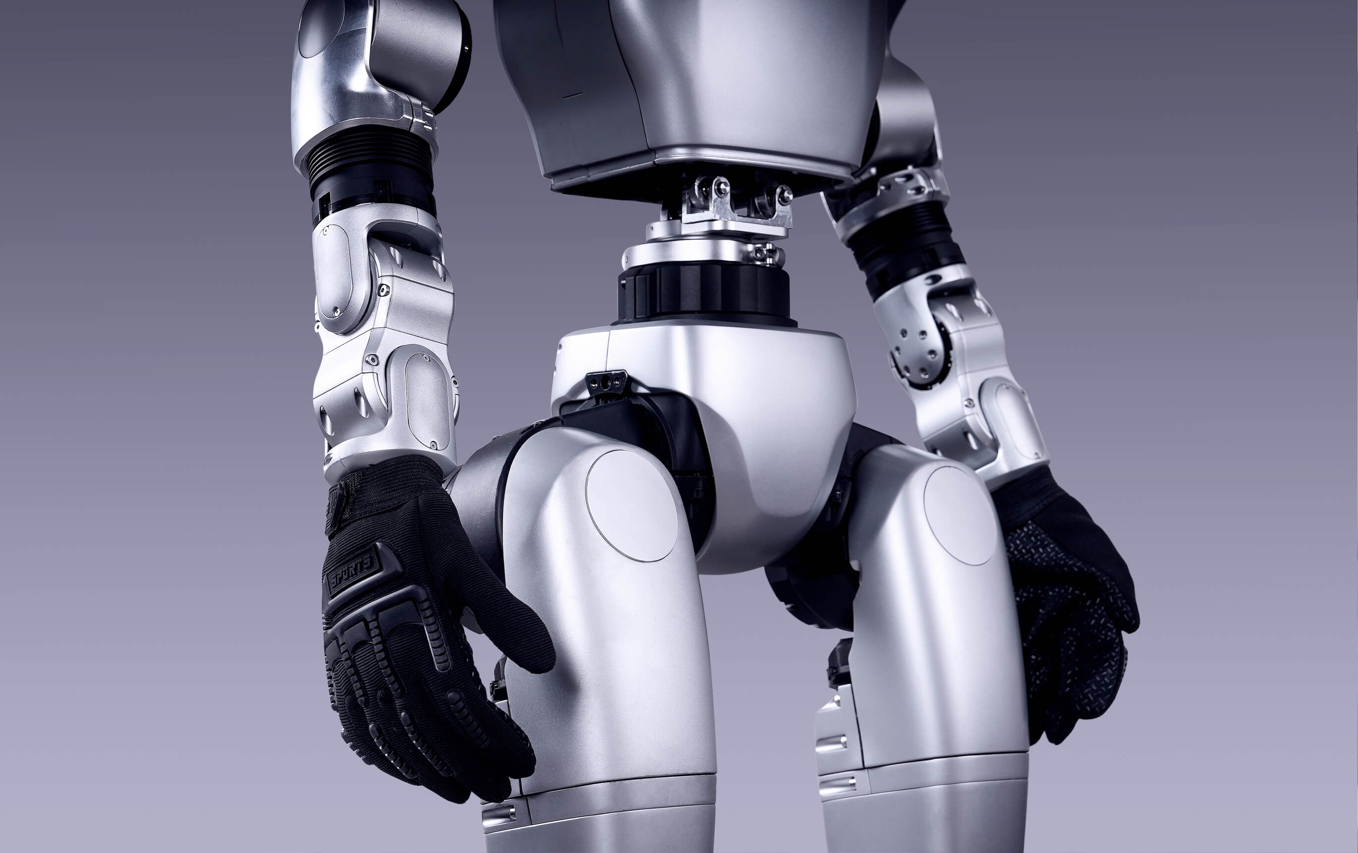 Torso and hip assembly